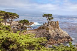 Monterey and Carmel tour