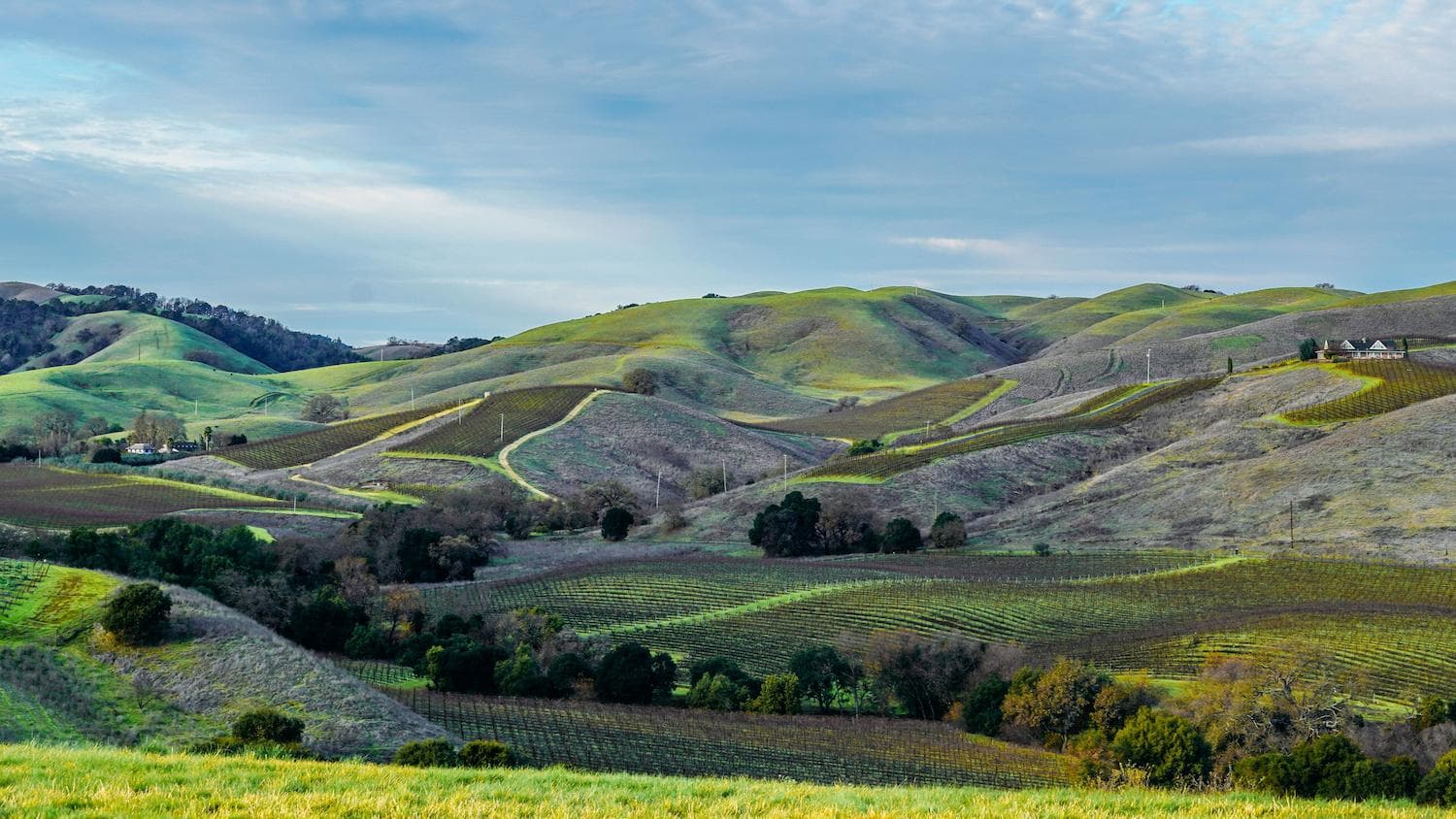 Napa