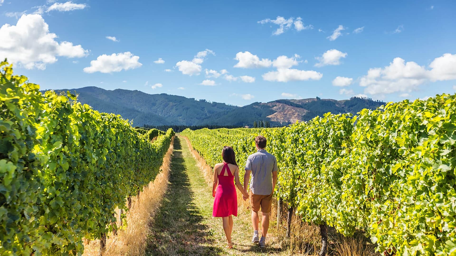 Napa and Sonoma Wine Country