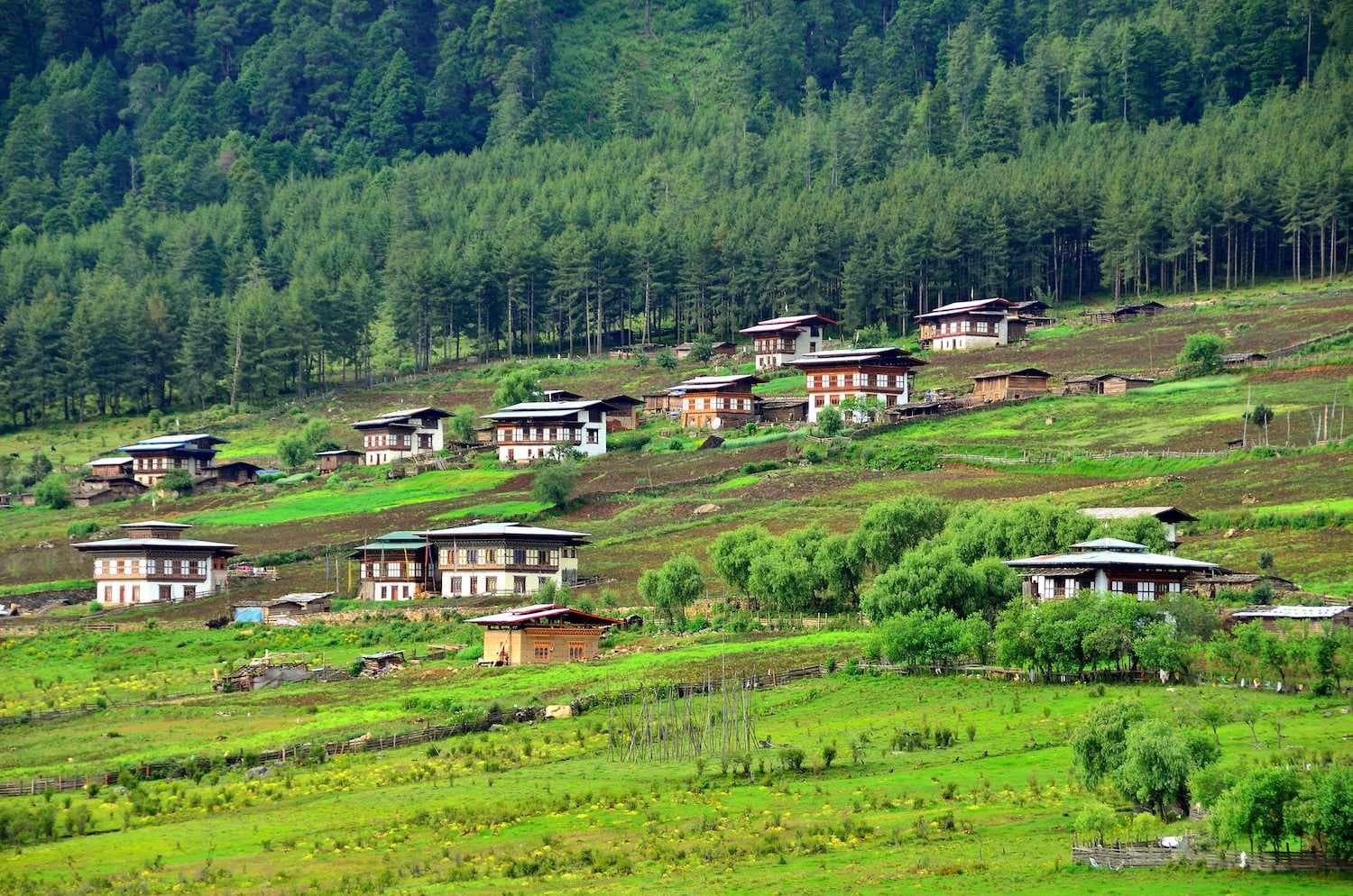 Phobjikha Valley