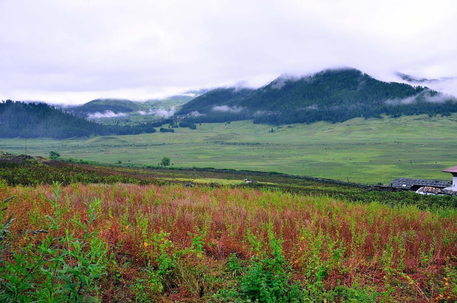 Phobjikha Valley