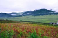 Phobjikha Valley
