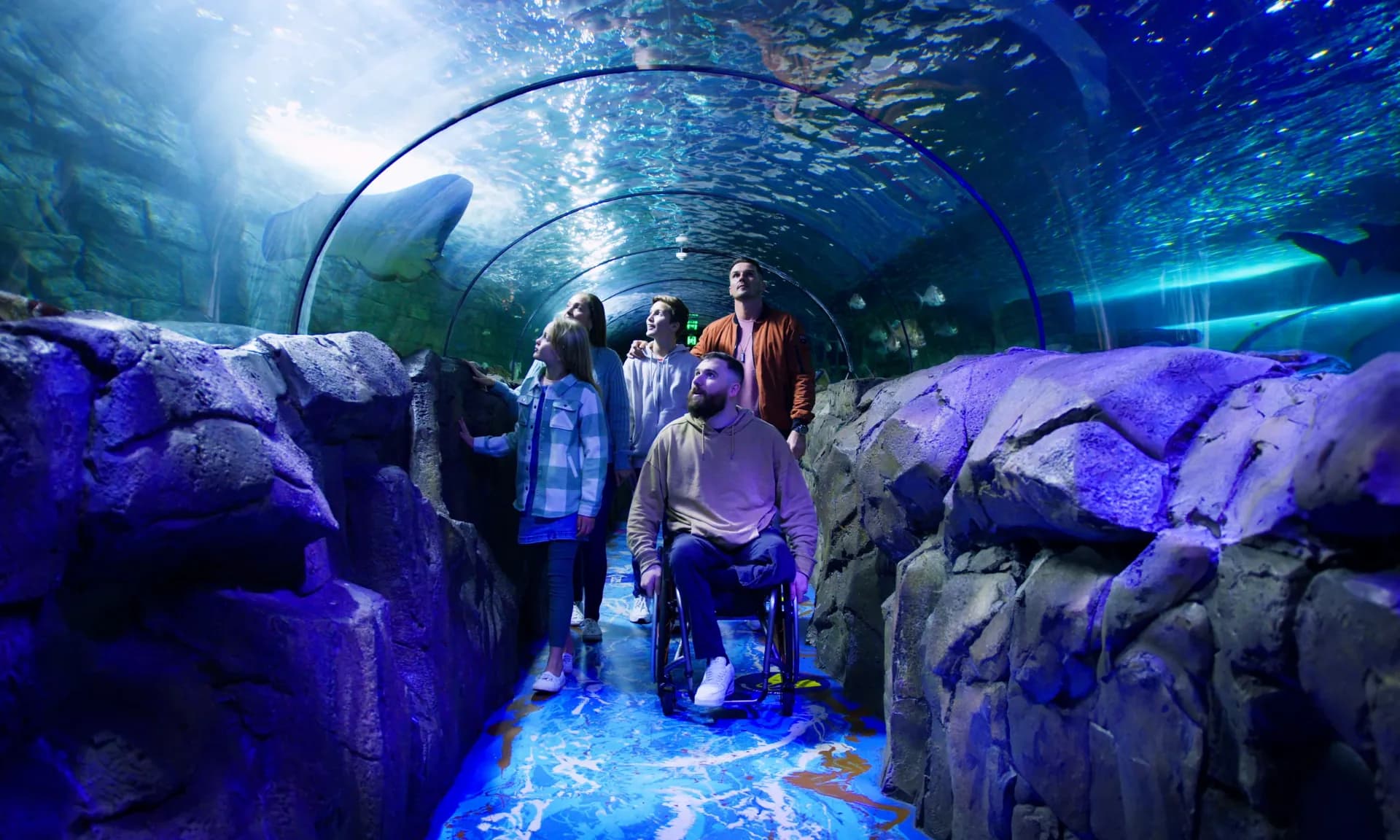 SEA LIFE Sydney Aquarium 