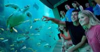 Sea World
