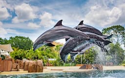 SeaWorld Orlando 1