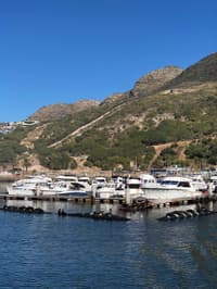 Seal Island Cruise