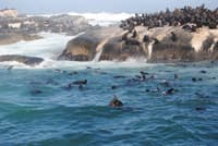 Seal Island