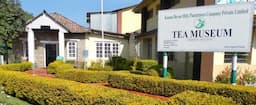 Tea Gardens & Museums