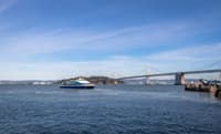 The Bay Cruise