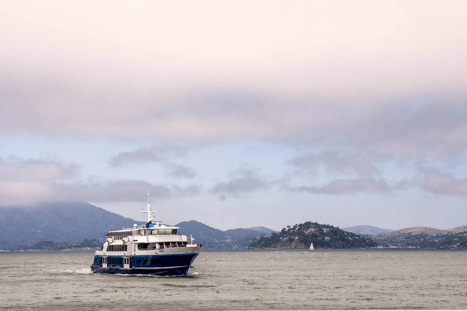 The Bay Cruise