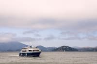 The Bay Cruise