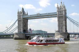 Thames River Cruise