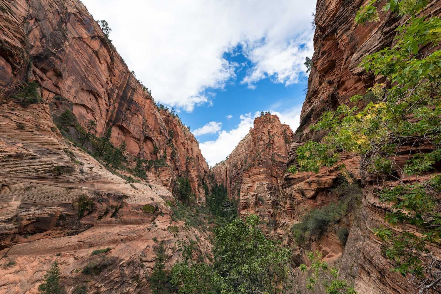 Zion National Park
