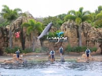Safari World Australia