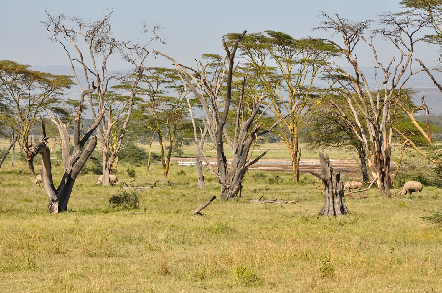 Aberdare National Park 1