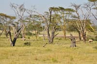 Aberdare National Park 1