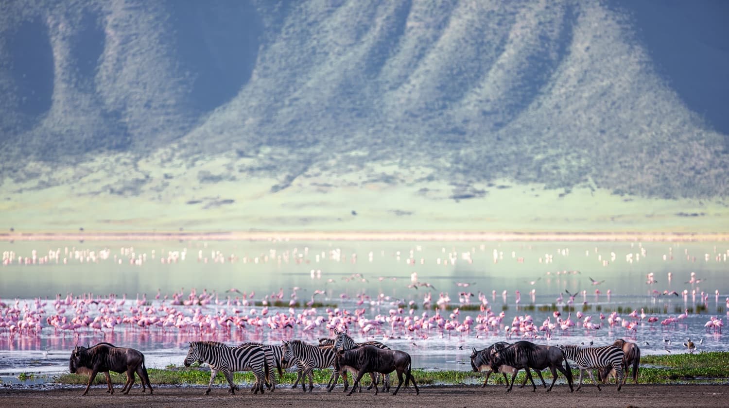 Amboseli National Park 3