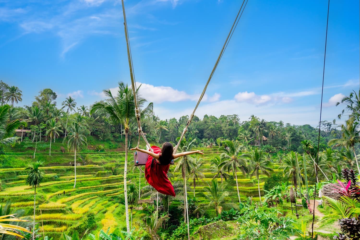 Bali Swing