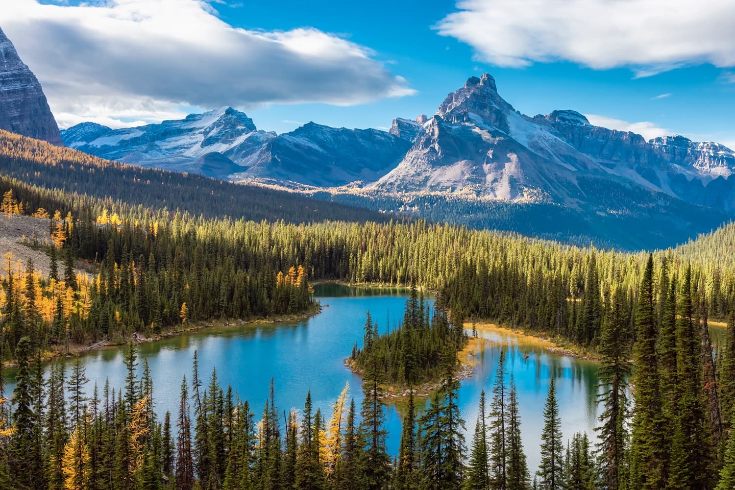 Canada 5 