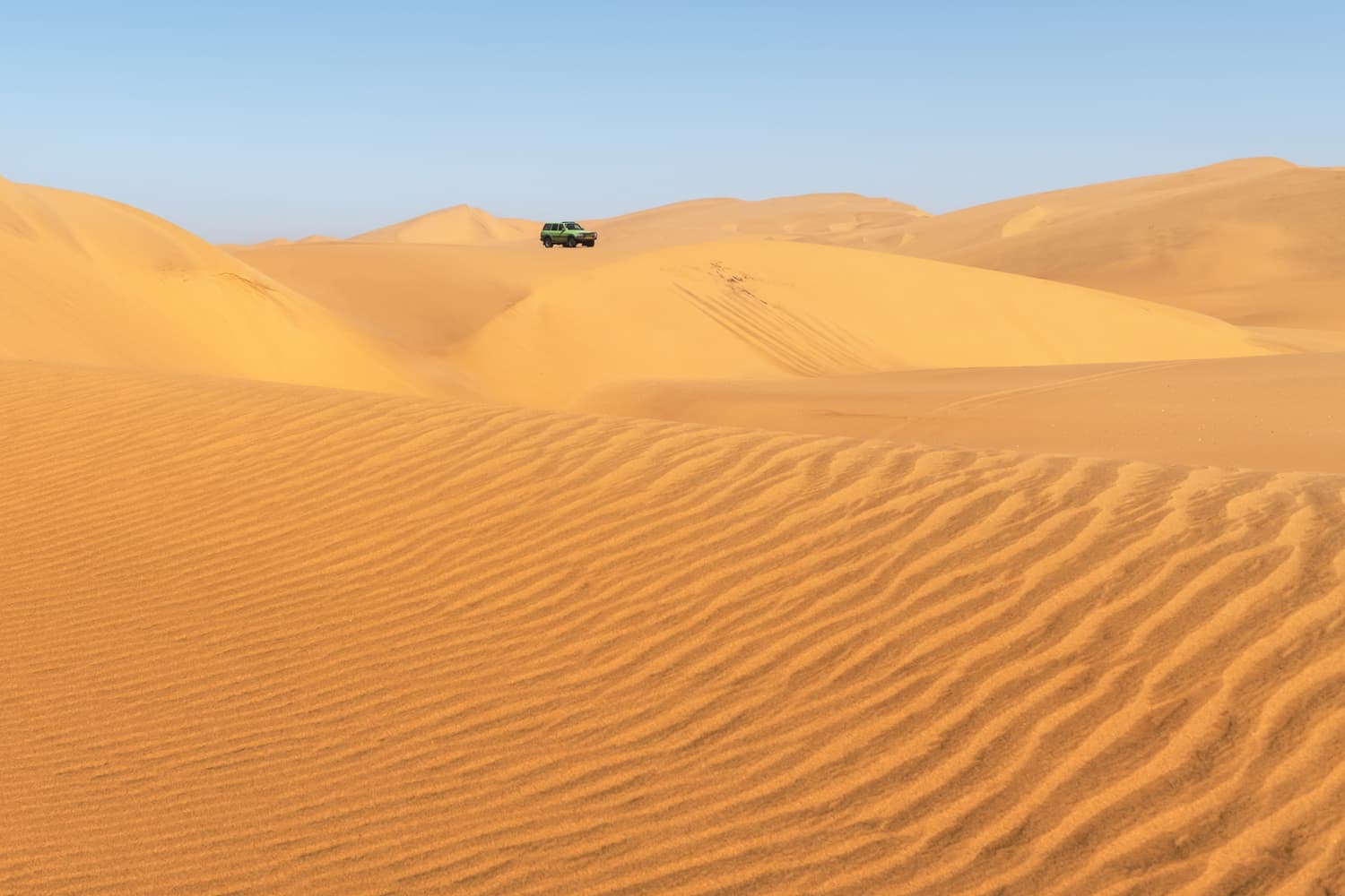 Desert Safari