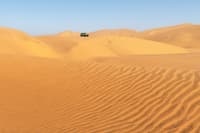 Desert Safari