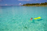 Go Snorkeling