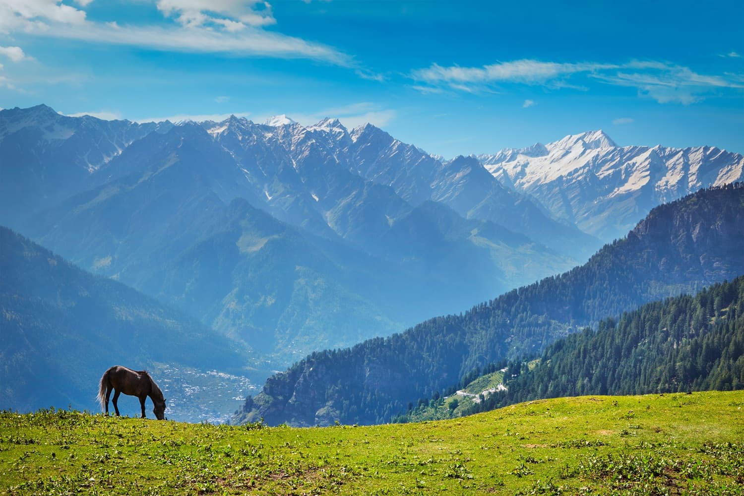 Himachal Pradesh 7
