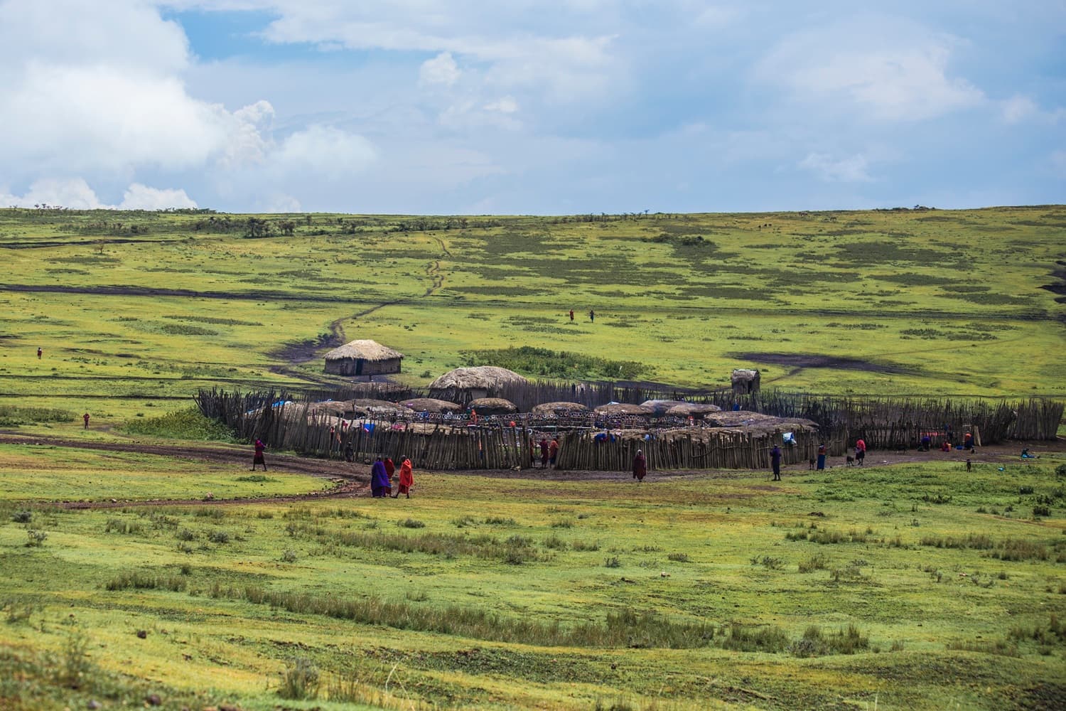 Masai Mara