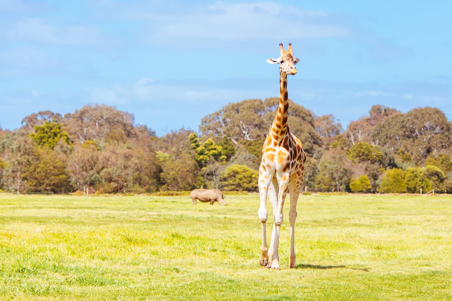 Safari World Australia
