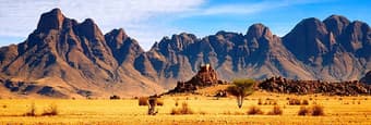 Africa Group Tours