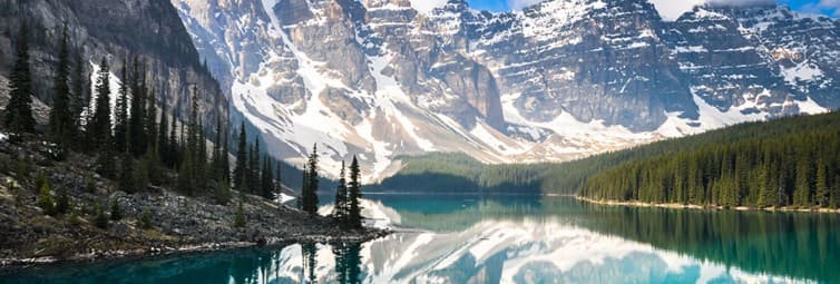 banner_cover