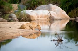 Discovery South Africa Tours tour package theme