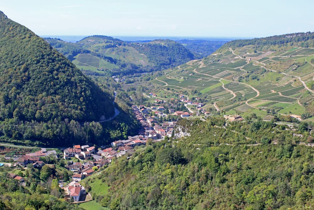 Aru Valley