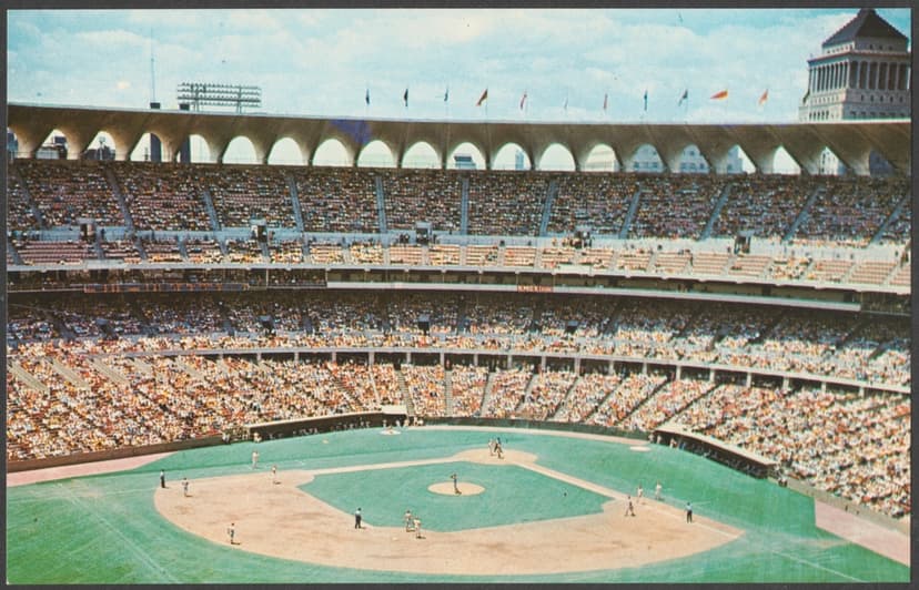 Attend a Baseball Game