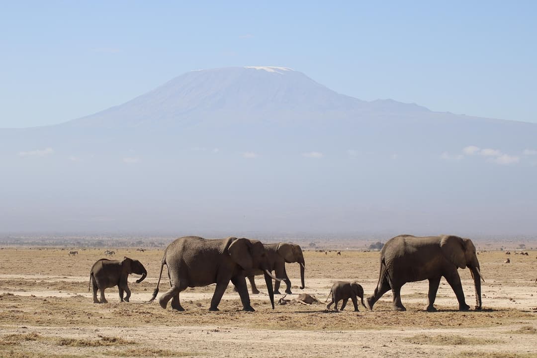 Climb Mount Kilimanjaro