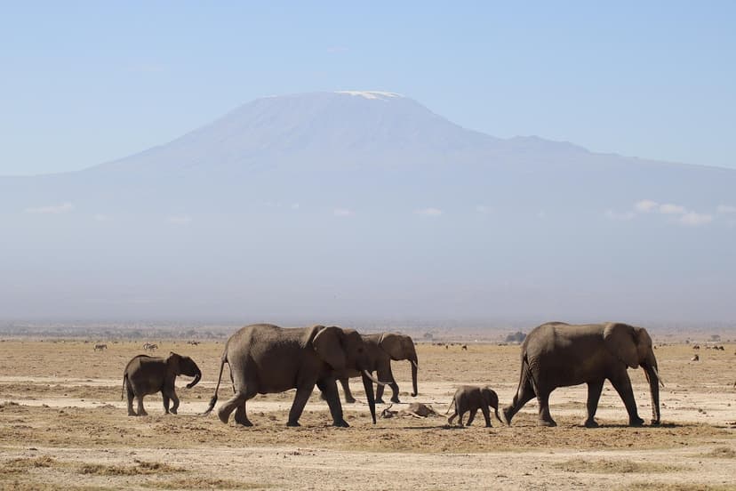 Climb Mount Kilimanjaro