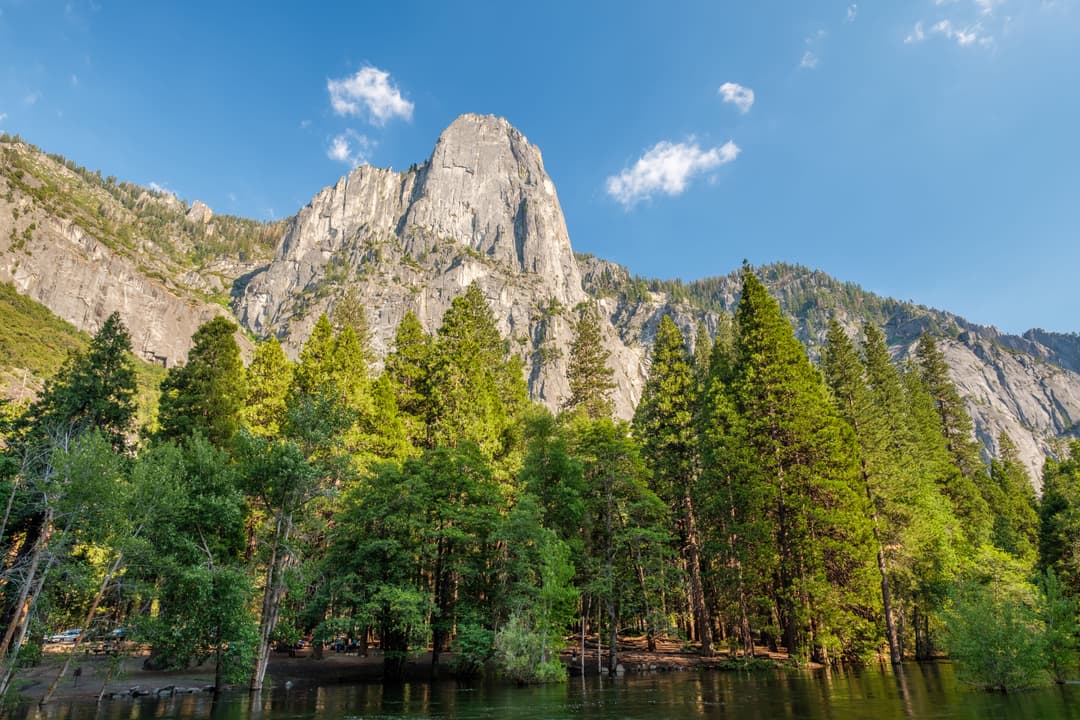 Tramp in Yosemite National Park