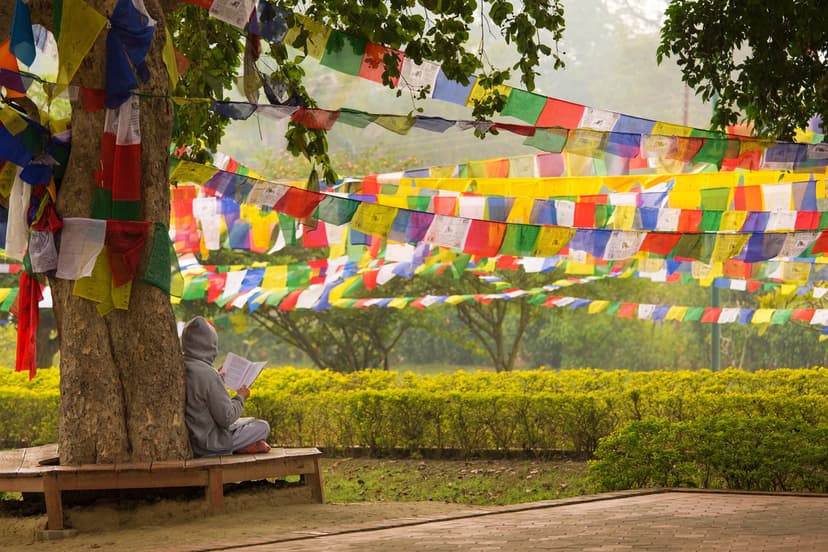 Bodhi Tree
