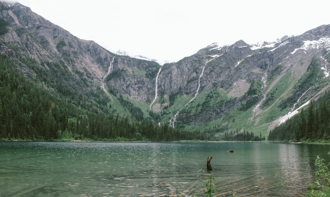 Cliff Dive At Horseshoe Lake