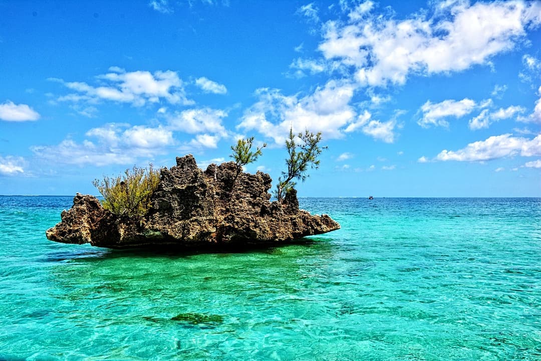 North Island