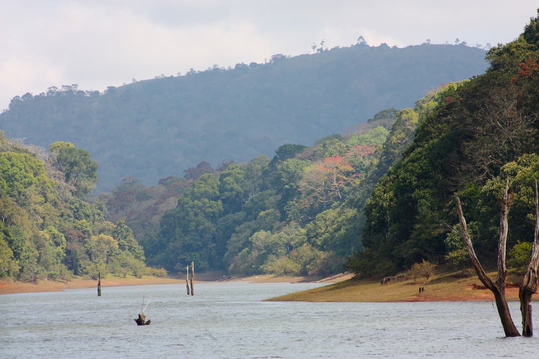 periyar lake
