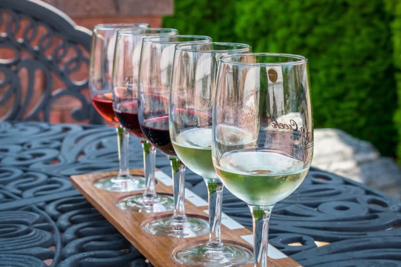 Go On A Wine Tour