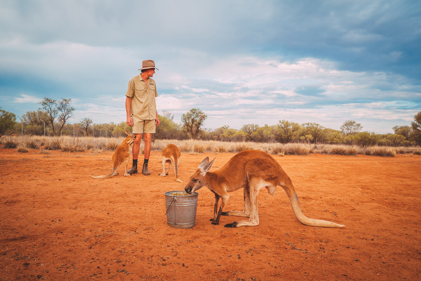 Kangaroo Century Sunset Tour