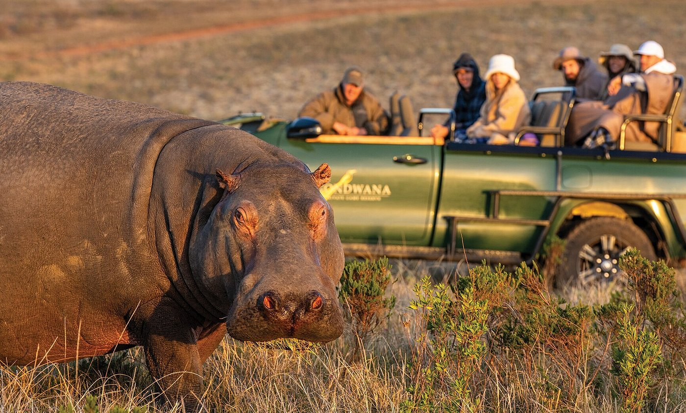 Gondwana Wild Lifein