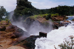 Murchison Falls National Park