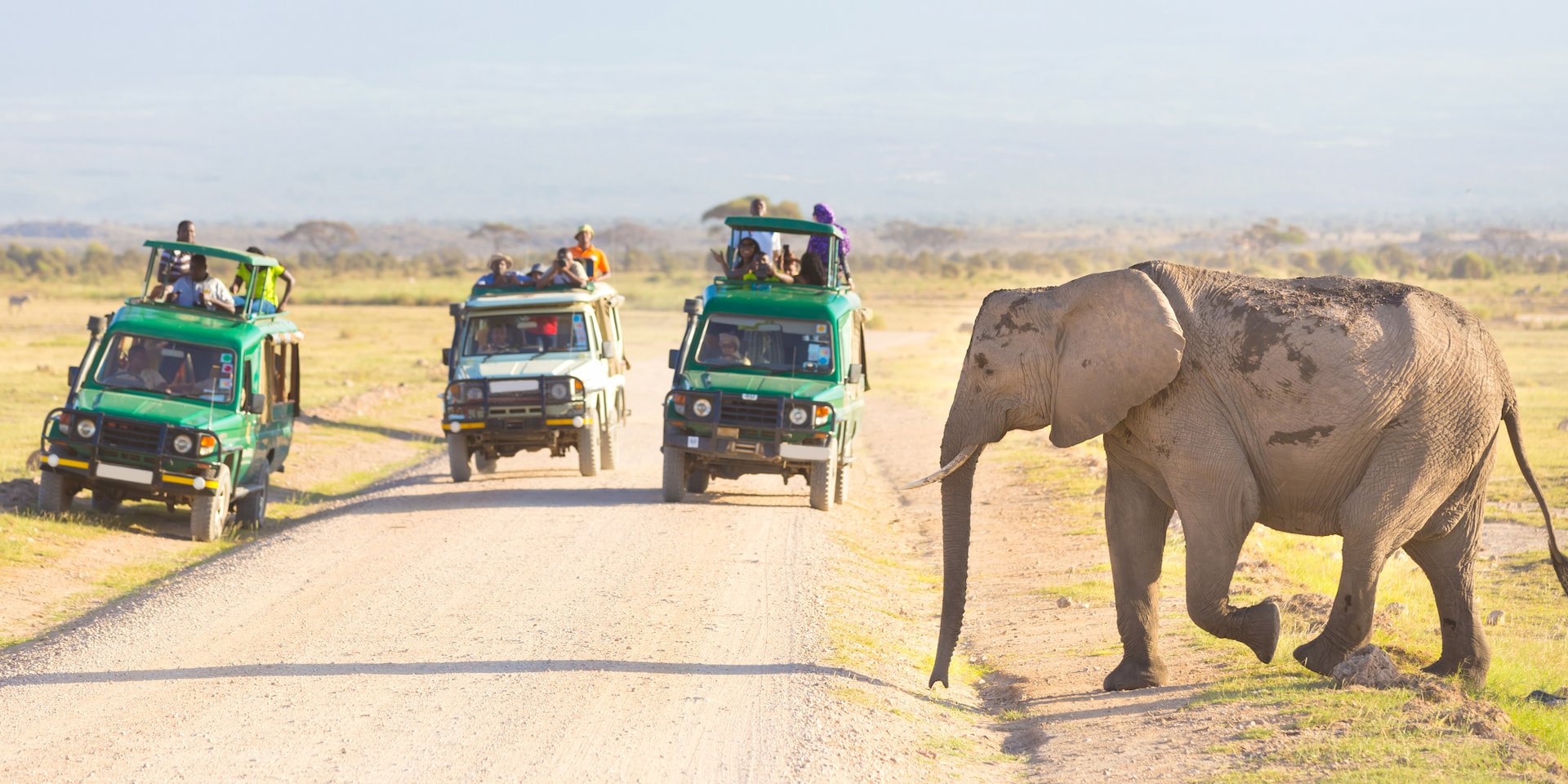 Amboseli national park