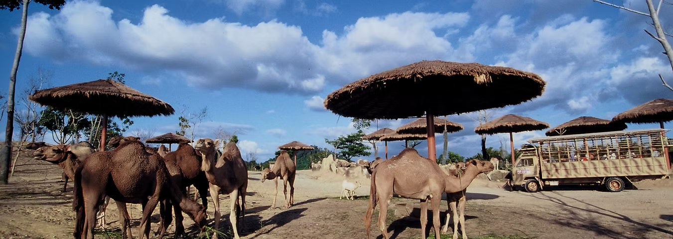A'Famosa Safari Wonderland 2
