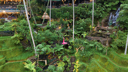 Alas Harum Bali 2