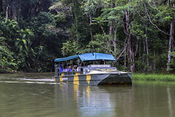 Army Duck Rainforest Tours 1