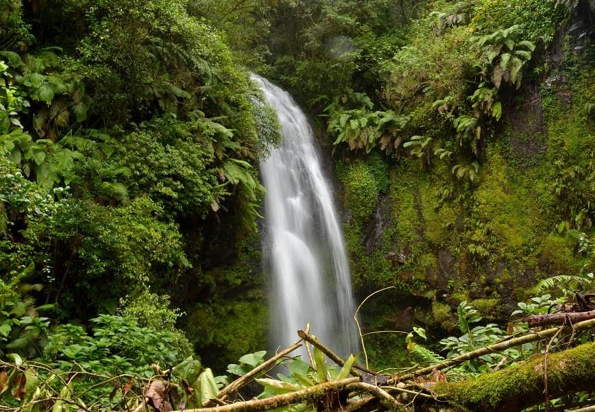 Parque National de la Mountain de Amber